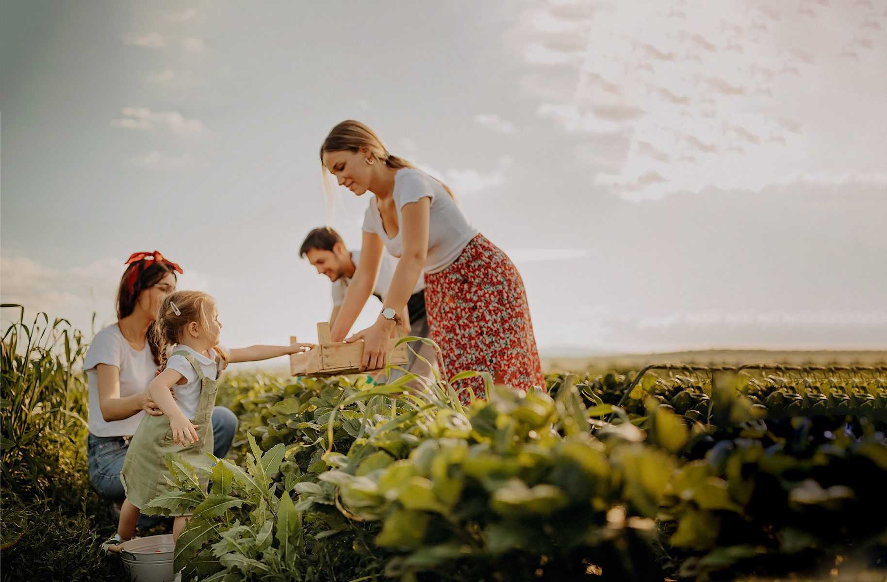 Inspire the transition toward a plant-based diet